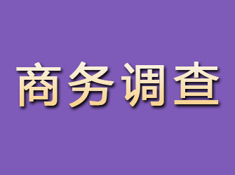 伊吾商务调查